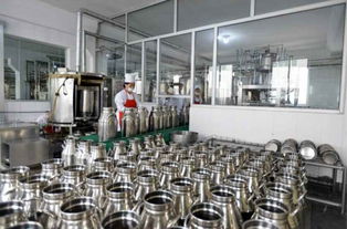 金正恩視察平壤兒童食品廠，鼓勵打造世界領先工廠